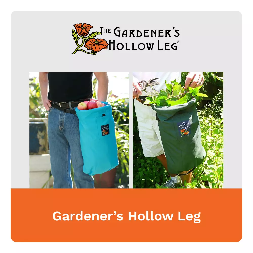 Gardeners Hollow Leg