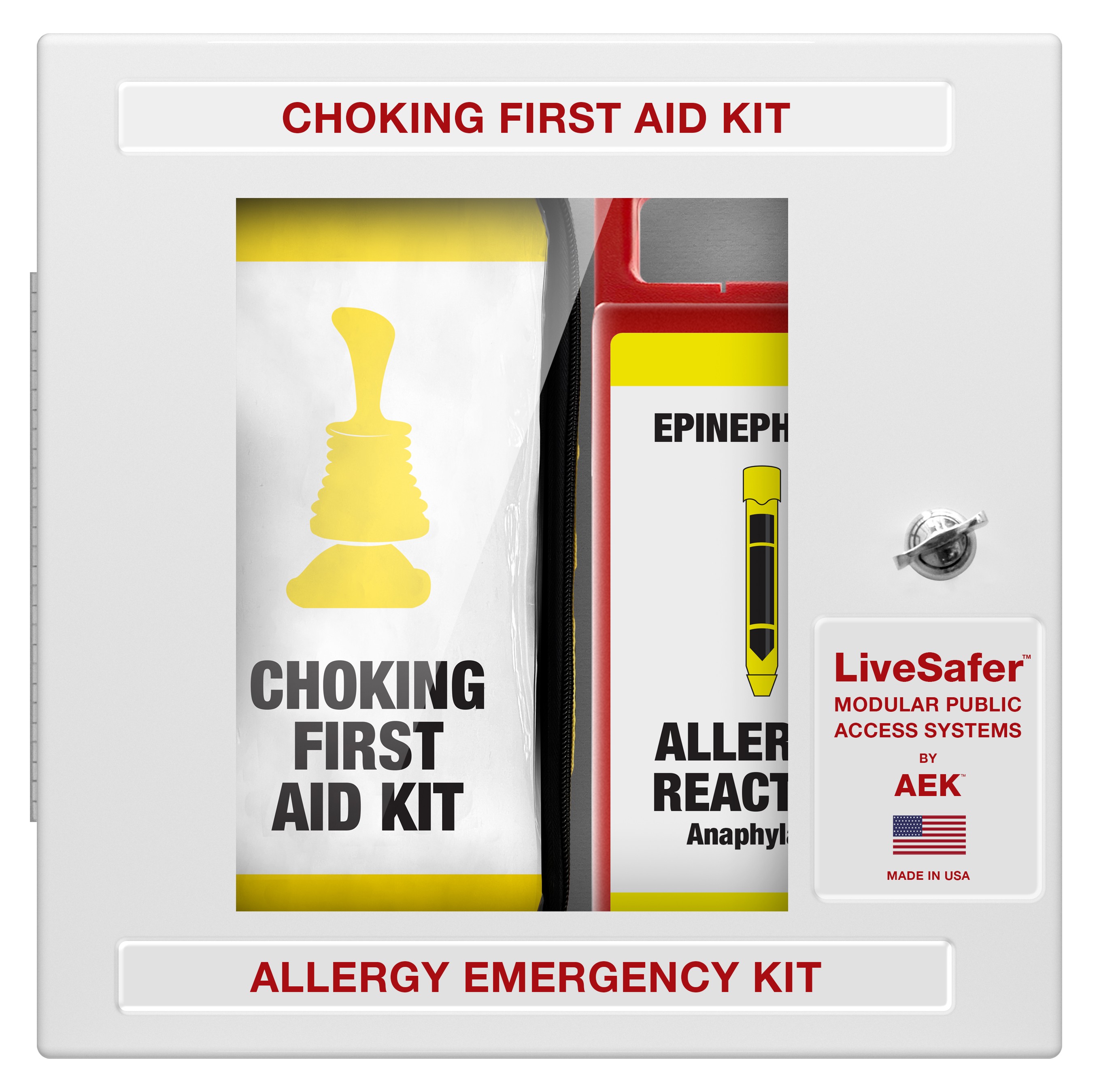 Choking / Food Allergy Emergency Cabinet with Signage (Empty)